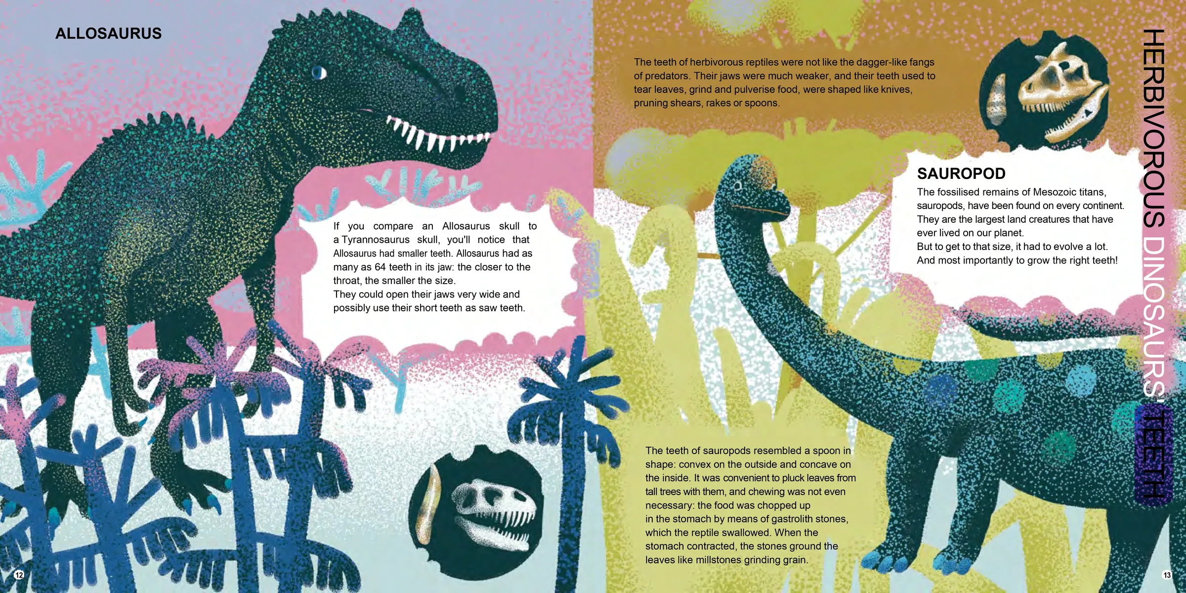 Spread from All Teeth Great and Small (4)