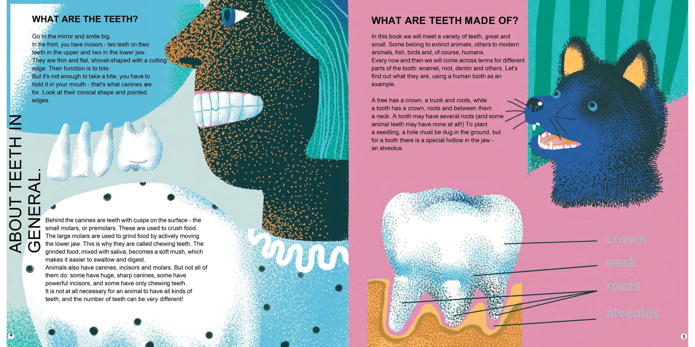 Spread from All Teeth Great and Small (6)