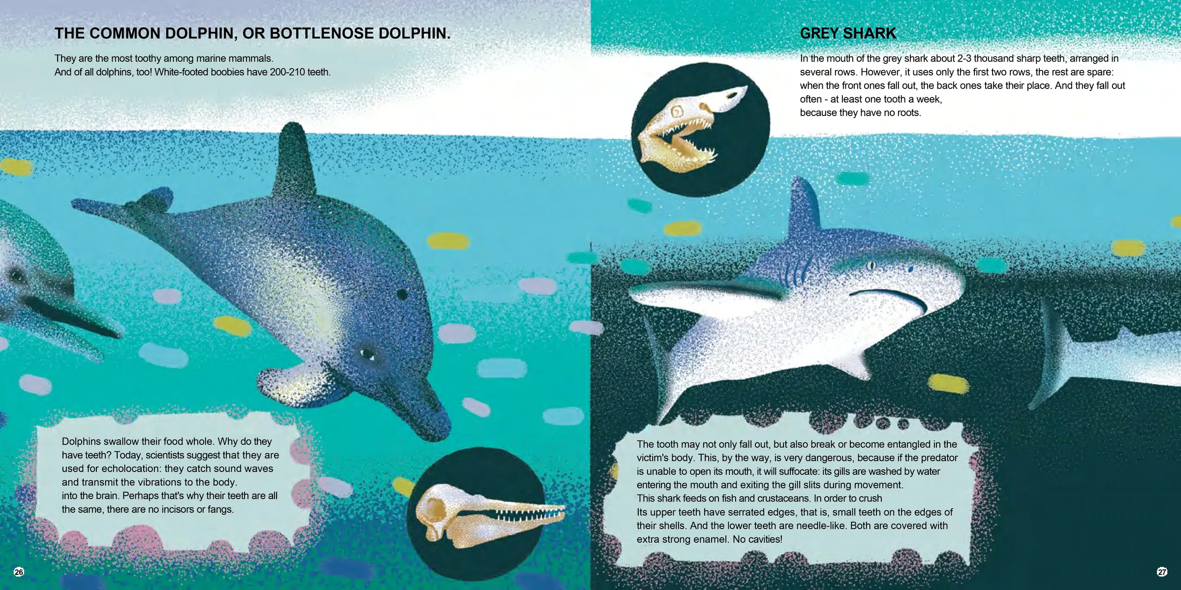Spread from All Teeth Great and Small (8)