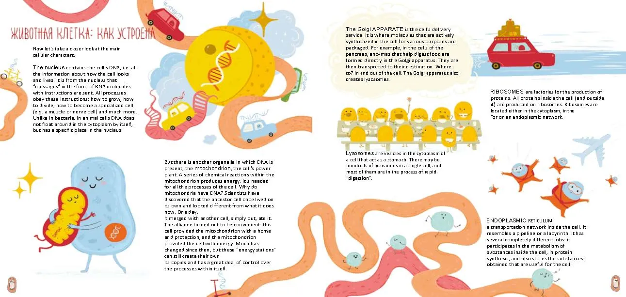 Spread from Cells: What Every Thing Is Made Of (3)