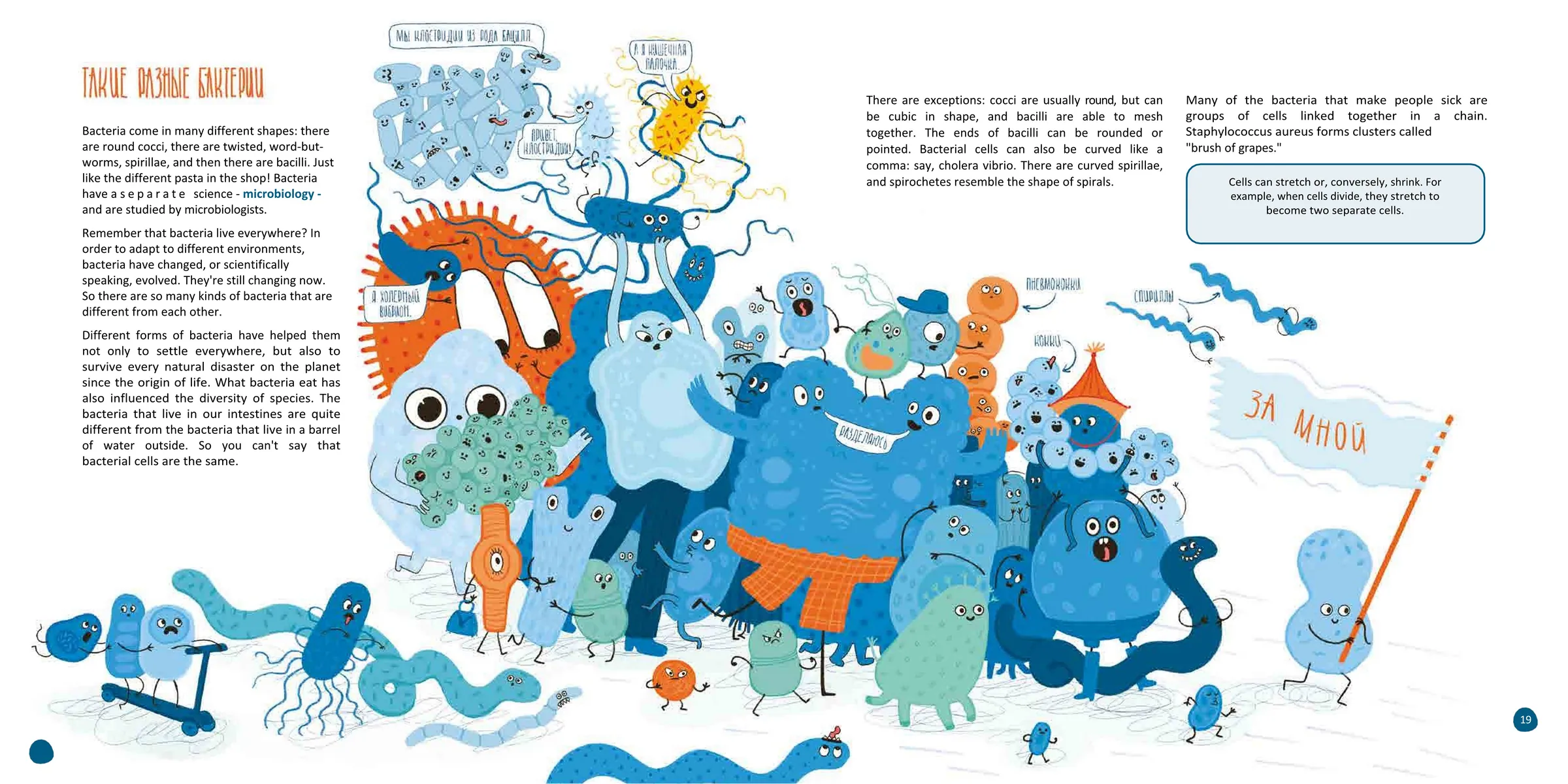 Spread from Cells: What Every Thing Is Made Of (4)
