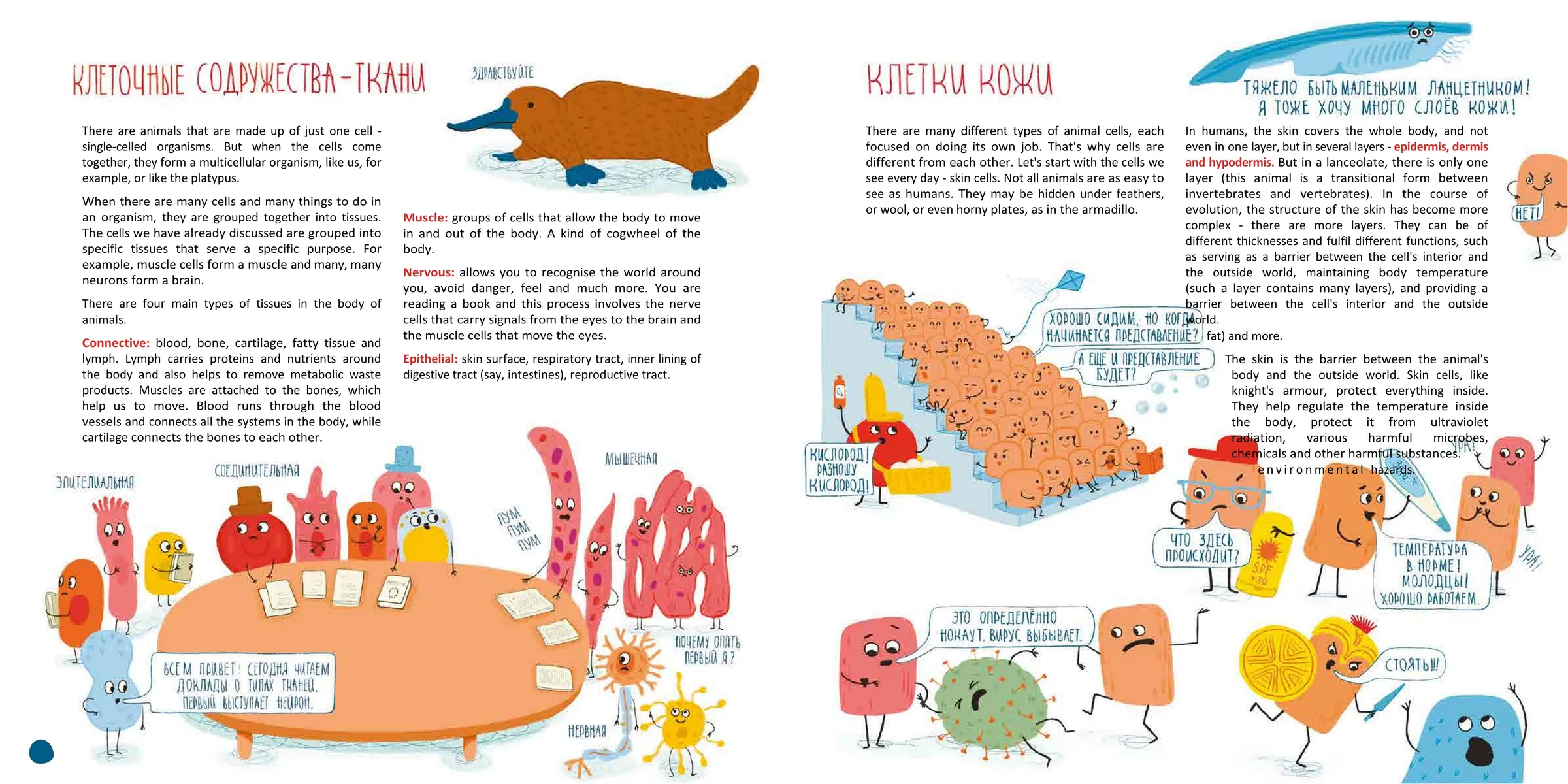 Spread from Cells: What Every Thing Is Made Of (5)