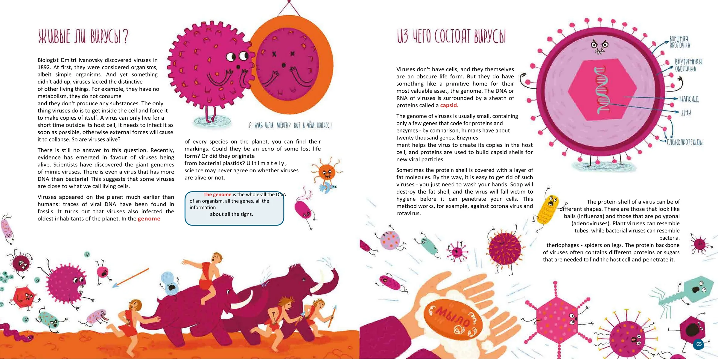 Spread from Cells: What Every Thing Is Made Of (6)
