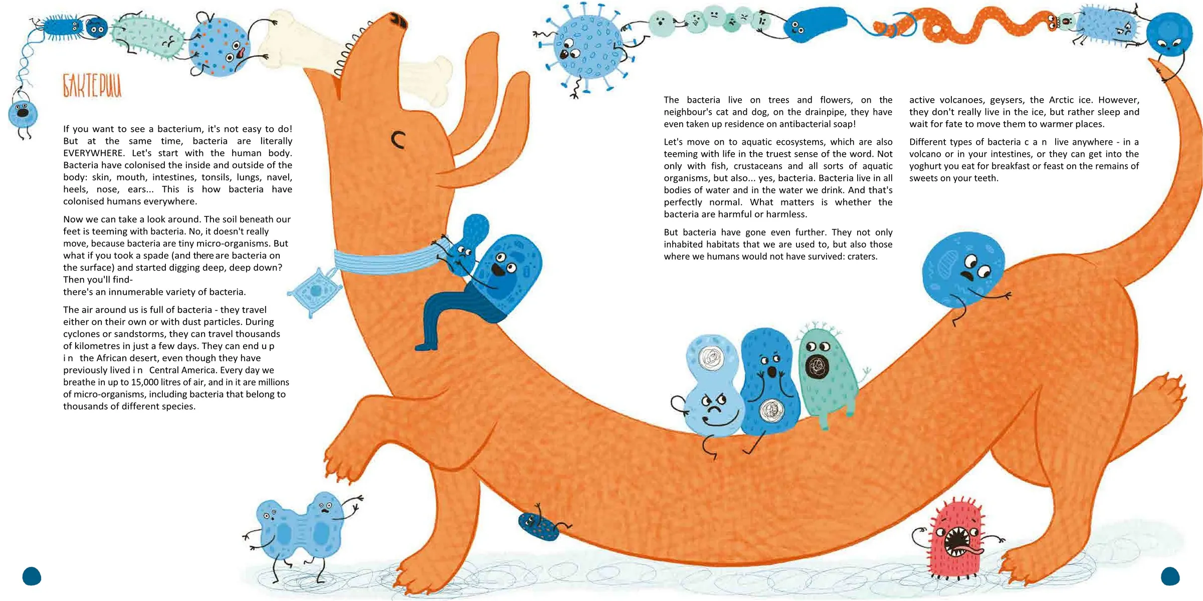 Spread from Cells: What Every Thing Is Made Of (7)