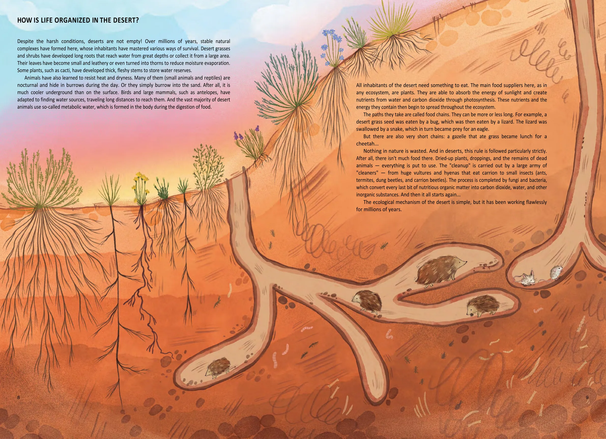 Spread from Deserts. One Year in the Life of the Hottest Biome (5)