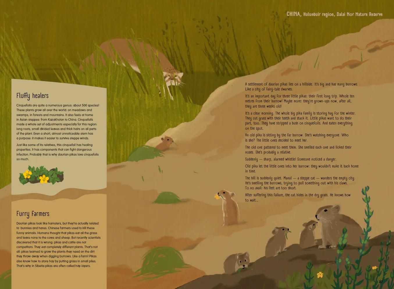 Spread from The Steppe, Prairie, and Pampa (3)