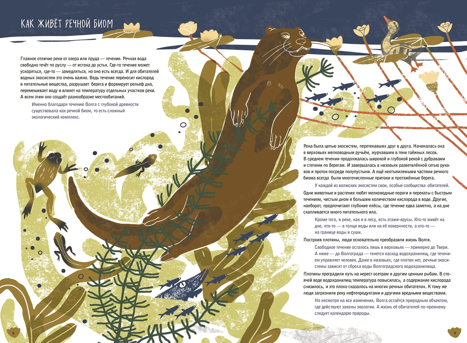 Spread from Volga: One Year in the Life of a Freshwater Biome (3)
