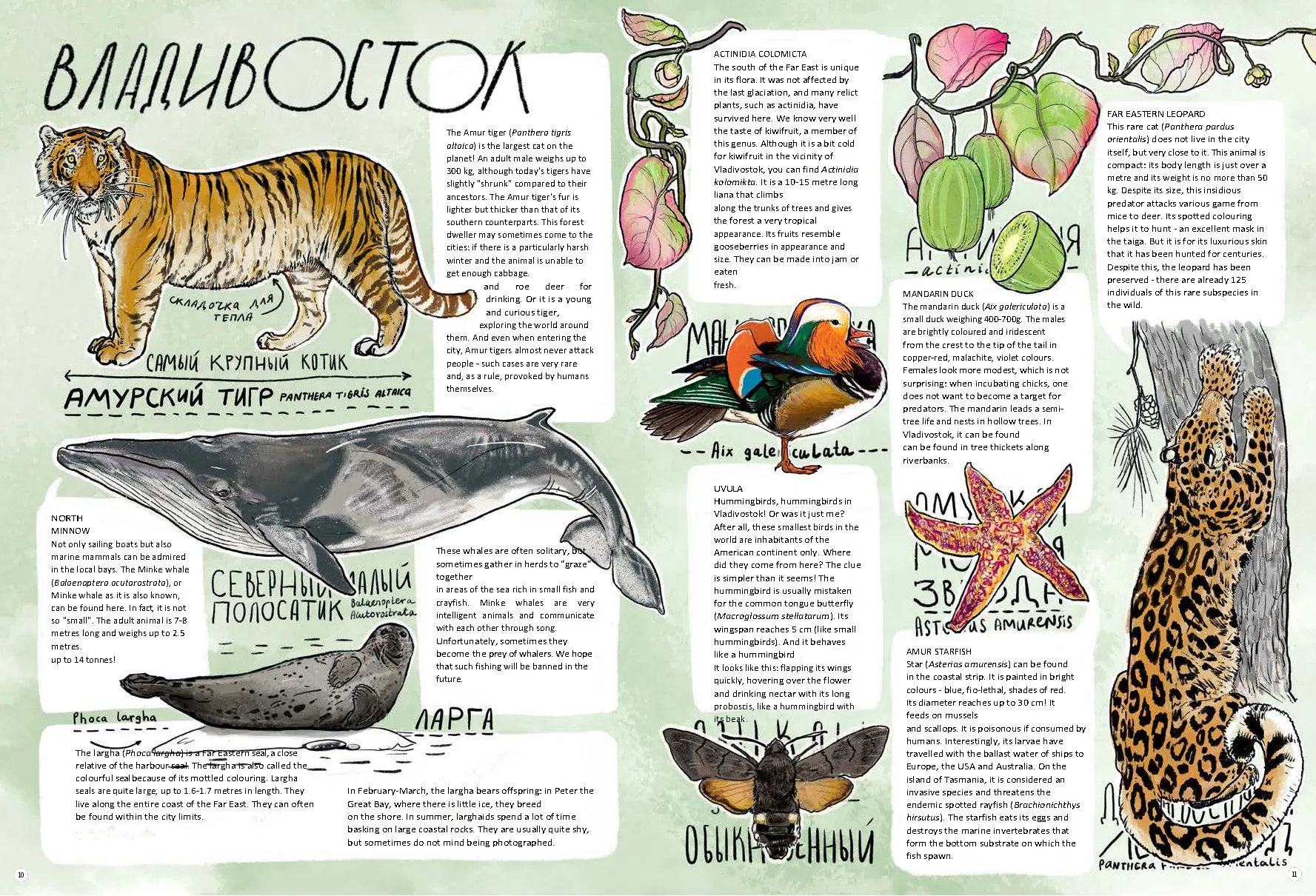 Spread from Wild Cities (5)