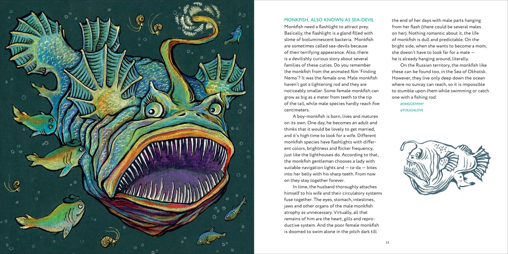 Spread: Monkfish, also known as sea-devil
